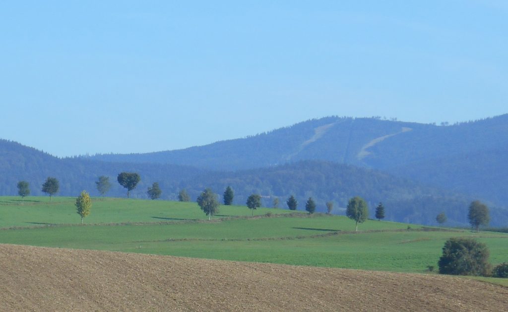 Arboretum Seitelschlag