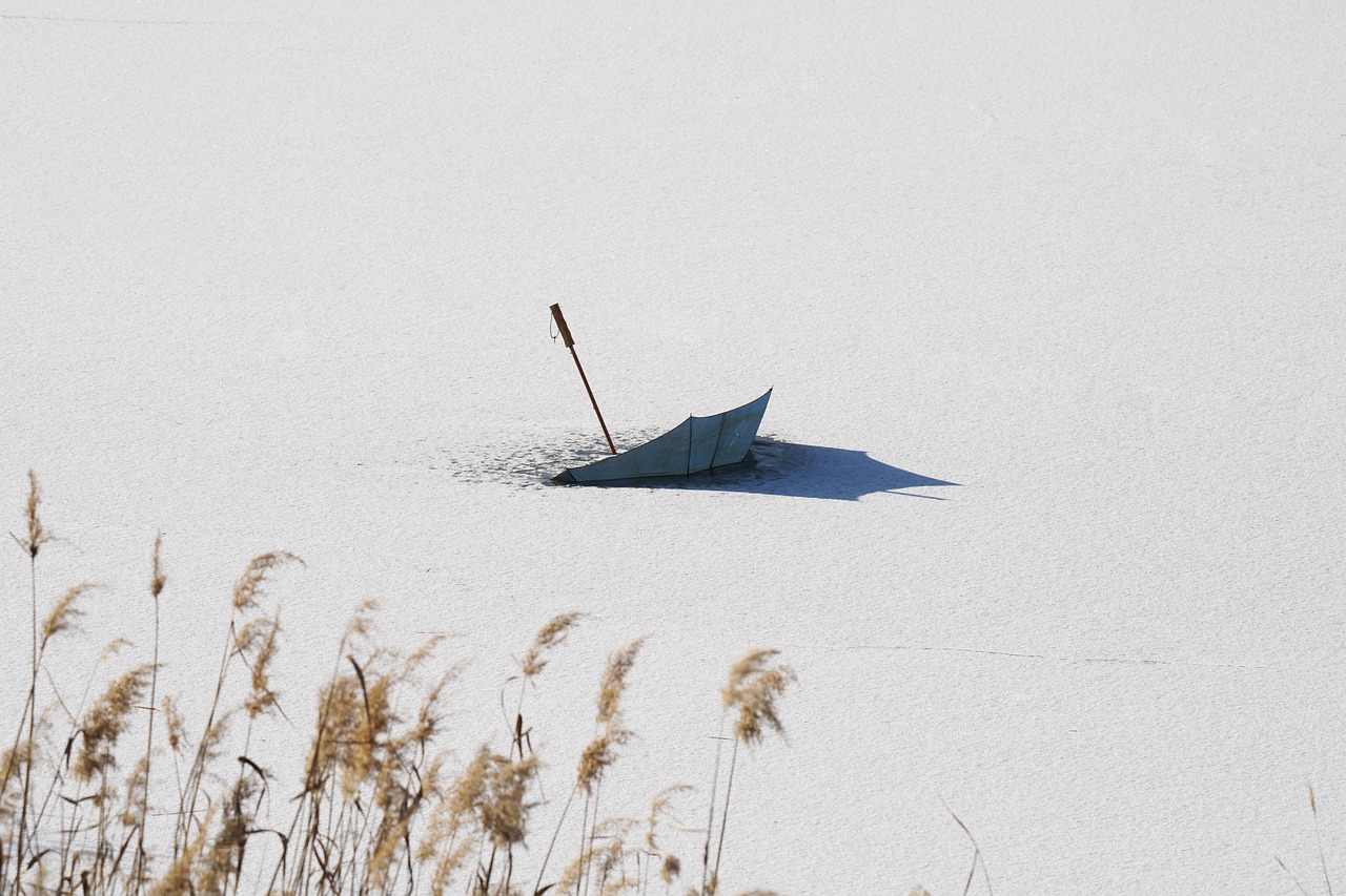 Umbrella Snow Reeds Ice Winter  - KIMDAEJEUNG / Pixabay