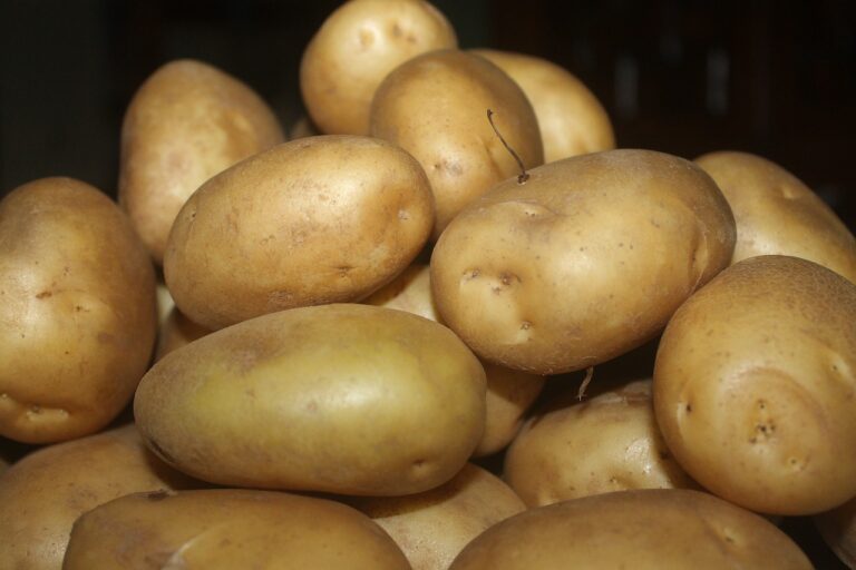 Vegetable Okra Bhindi Potato  - RikkyLohia / Pixabay