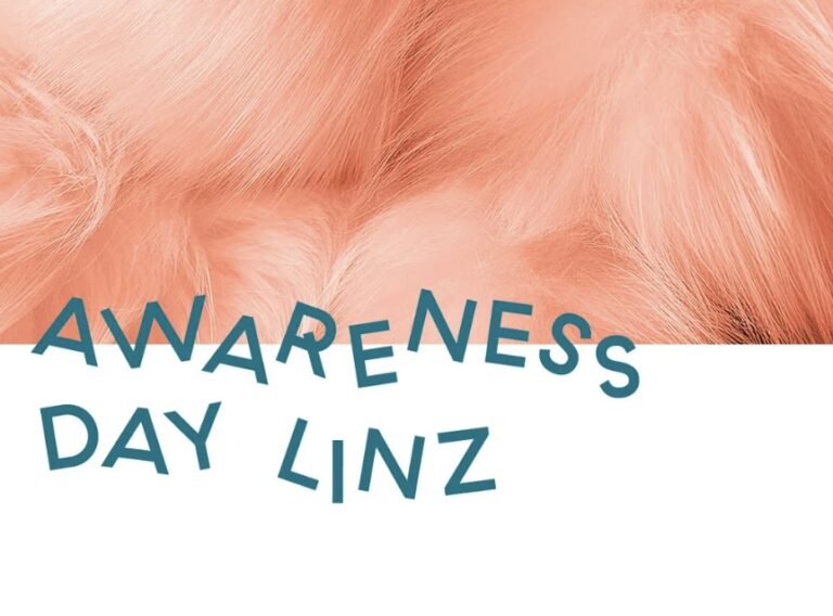Awareness Day Linz 2024 — Gemeinsam Safe(r) Spaces schaffen