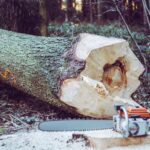 chainsaw near tree log