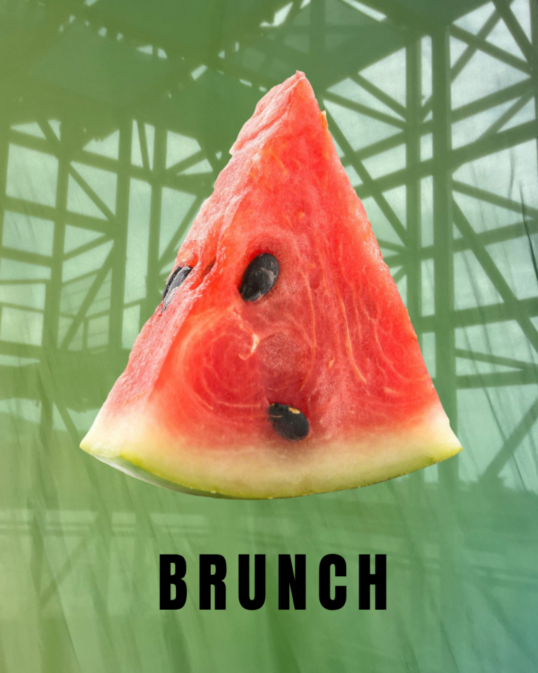 Netzwerk-Brunch: Innovative Ausstellungskonzepte