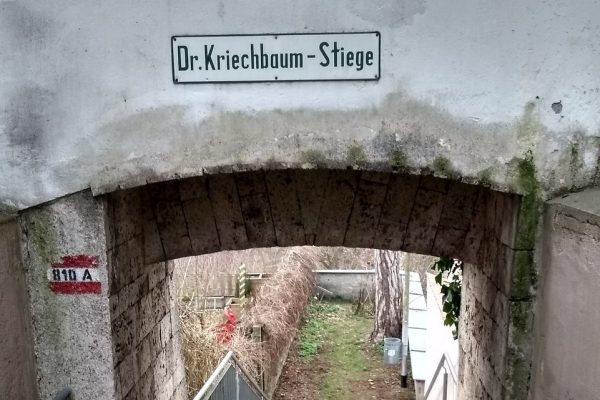 BraunauDrKriechbaumStiege